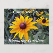 Le jardin botanique Noir-Eyed de Susan voyage l'in Prospectus En Couleur