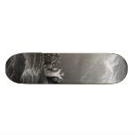 Le Jésus-Christ calme la tempête Skateboard