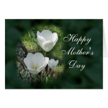 Le jour de mère heureux : Tulipes blanches Carte