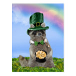 Le jour de St Patrick - raton laveur chanceux Cartes Postales