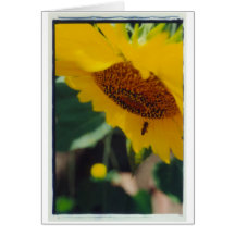 Le jour ensoleillé d'une abeille ! carte de vœux