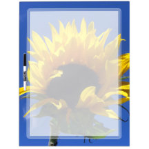 Le lever de soleil de tournesol grand sèchent le c