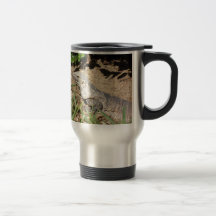 Le lézard tasse