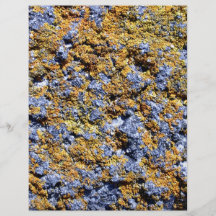 Le lichen a couvert la roche tract personnalisé