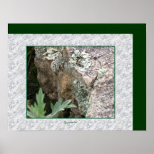 Le lichen laisse l'affiche de photo gretchen par