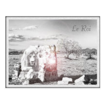 Le Lion Roi carte postale