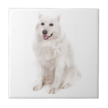 LE LOGO HEUREUX DE CHIEN DE DIGITAL D'ANIMAUX FAMI CARREAUX EN CÉRAMIQUE