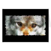 Le LOUP OBSERVE des Salutation-cartes de défenseur