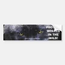 Le LOUP OBSERVE l'adhésif pour pare-chocs de conse Adhésif Pour Voiture