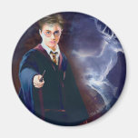 Le mâle Patronus de Harry Potter Magnets Pour Réfrigérateur