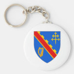 Le manteau officiel arme le symbole héraldique Irl Porte-clef