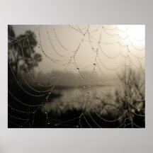 Le matin de l'araignée affiche