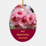 Le meilleur assistant administratif ! ornement de 