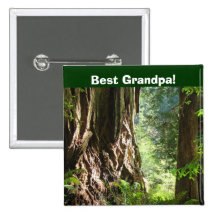 Le meilleur grand-papa ! arbres de séquoia de bout badge avec épingle