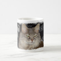 le meow du chat tasses