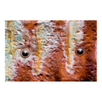 le métal observe la rouille posters
