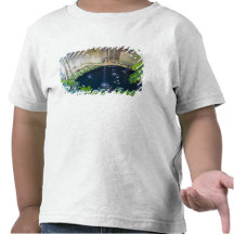 Le Mexique, Quintana Roo, près de Chichen Itza, T-shirts