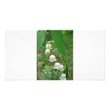 Le muguet photocarte personnalisée