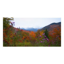 Le New Hampshire Photocartes Personnalisées