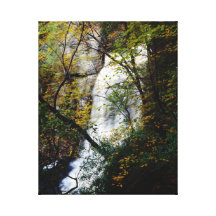 Le "Niagara de la Pennsylvanie," automnes de Bushk Impressions Sur Toile