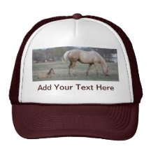 Le nouveau venu casquettes