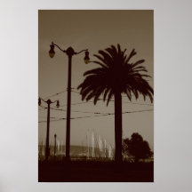 Le palmier dans la ville posters