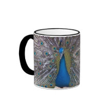 Le paon fait varier le pas de la tasse
