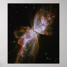 Le papillon émerge de la cession stellaire dans pl affiche
