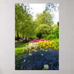 Le parc jaune de St James, Londres, Angleterre fle Affiches