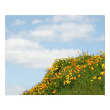 Le pavot floral de photographie de nature fleurit 