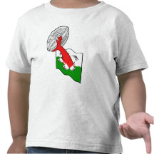 Le Pays de Galles six Grands Chelems 2012 de natio T-shirt