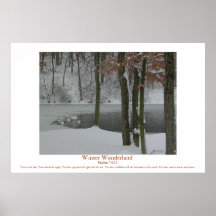 Le pays des merveilles d'hiver posters