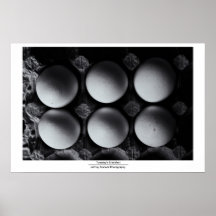 Le petit déjeuner de mardi affiches