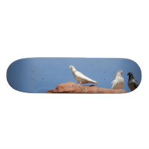 Le pigeon solitaire skateboards personnalisables