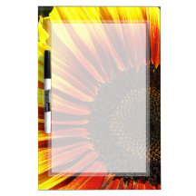 Le plan rapproché vif de tournesol moyen sèchent l