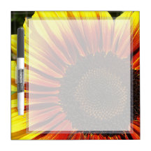 Le plan rapproché vif de tournesol petit sèchent l