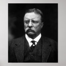 Le Président Teddy Roosevelt Poster