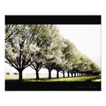 Le réveil photo sur toile