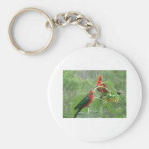 Le Roi australien Parrots Porte-clef