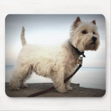 Le Roi Barko Tapis De Souris