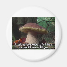 Le Roi Bolete - je devrais vous tuer Aimants