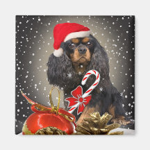 Le Roi CharlesChristmas Gifts Magnets