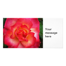 Le rose et l'orange se sont levés cartes de vœux avec photo