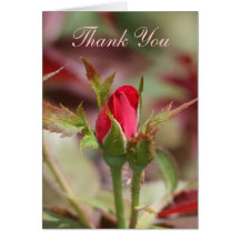 Le rose rouge bourgeonne le carte de remerciements
