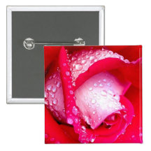 Le rouge/rose Rosée-Embrassé s'est levé Pin's Avec Agrafe