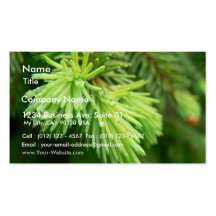Le sapin rouge pousse l'arbre modèle de carte de visite