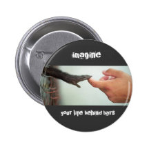 le singe mignon, imaginent, votre vie derrière des badges