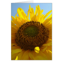 LE SOLEIL DE TOURNESOLS FLEURIT LA CARTE DE NOTE D