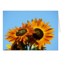 LE SOLEIL DE TOURNESOLS FLEURIT LA CARTE DE NOTE D