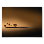 Le SOLEIL D'OR d'ÎLE de PAUME Palm-tree-island-sun Photographies